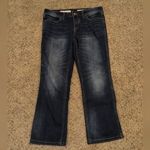 Pilcro And The Letterpress Anthropologie Women's Size 28 Jeans Dark Blue Logo